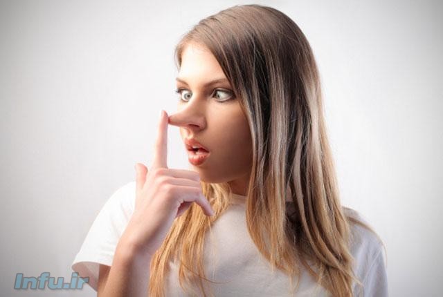  دماغ پینوکیو