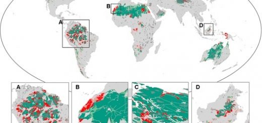 نمودار شماره دو- میزان خسارت به‌طور خاص در آمازون و آفریقای مرکزی بسیار بالا بوده‌است
