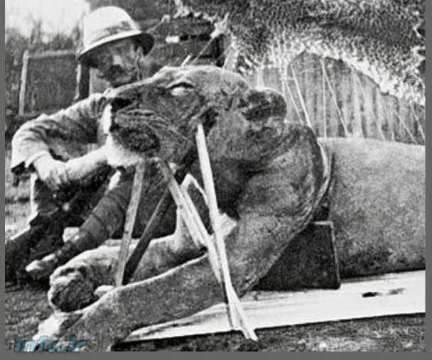 خط راه اهن در اوگاندا 