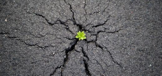 زندگی روزمره