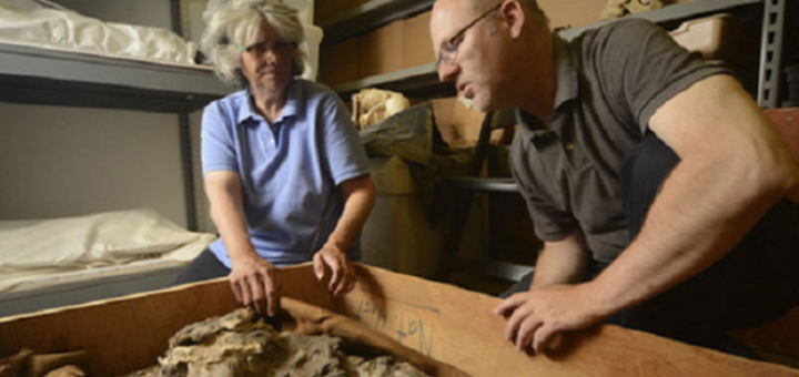 زکریا سیچین