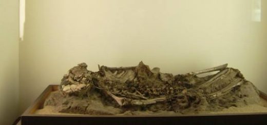 معمای دی ان ای سومریان