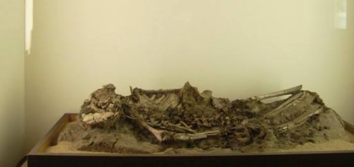 معمای دی ان ای سومریان