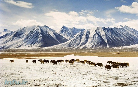 ۹۳ درصد تاجیکستان را کوهستان‌های مرتفع و مملوء از یخچال‌های طبیعی پوشانده که تا سال ۲۰۵۰ حدود ۳۰ درصد از آنها آب می‌شود