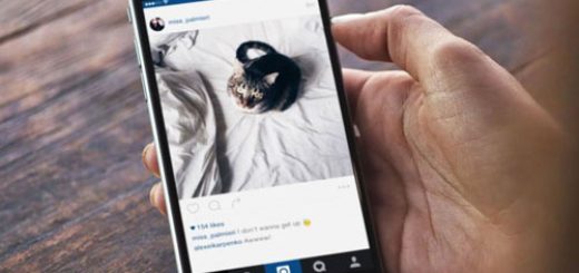 در جست وجوی توجه