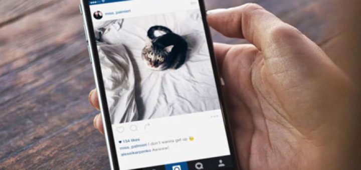 در جست وجوی توجه