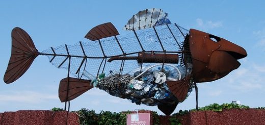 بوم‌شناسی دانشی است که به پرسش‌های عام درباره‌ ارتباط متقابل جانوران و گیاهان با زیست‌محیط‌شان می‌پردازد