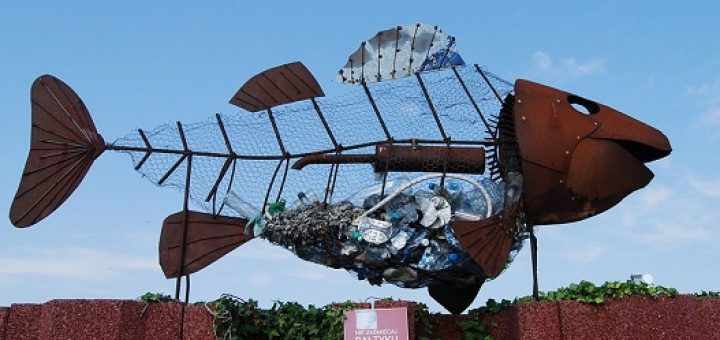 بوم‌شناسی دانشی است که به پرسش‌های عام درباره‌ ارتباط متقابل جانوران و گیاهان با زیست‌محیط‌شان می‌پردازد