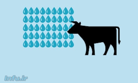 میانگین جهانی مصرف آب برای تولید یک کیلوگرم گوشت گاو ۱۵۴۰۰ لیتر است