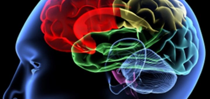 توانایی‌های مغز