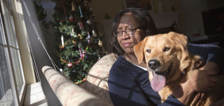 صاحبان سگ‌های خانگی