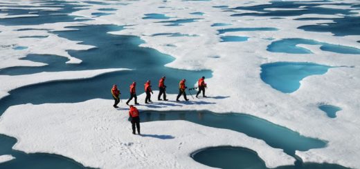 شمالگان منطقه‌ای پیرامون قطب شمال است که بخش‌هایی از روسیه، آلاسکا، کانادا، گرینلند و یا اقیانوس منجمد شمالی را دربر می‌گیرد