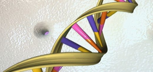 تصویری از ساختار دی‌ان‌ای؛ دی‌ان‌ای نوعی اسید نوکلئیک است و دستورات ژنتیکی برای کارکرد و توسعه تکاملی و بیولوژیکی موجودات زنده را در بر می‌گیرد