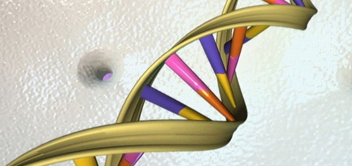 تصویری از ساختار دی‌ان‌ای؛ دی‌ان‌ای نوعی اسید نوکلئیک است و دستورات ژنتیکی برای کارکرد و توسعه تکاملی و بیولوژیکی موجودات زنده را در بر می‌گیرد