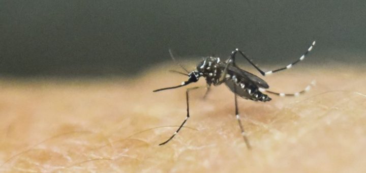 دستکاری ژنتیک