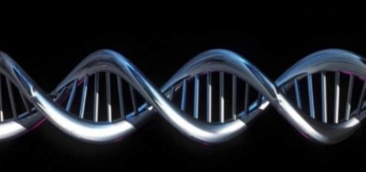 دستکاری ژنتیکی