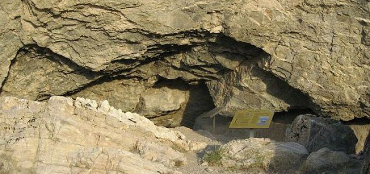 غول های موقرمز