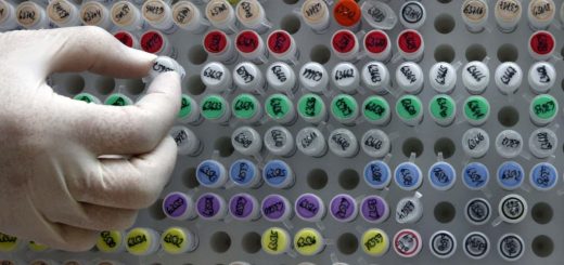 محصولات تراریخته