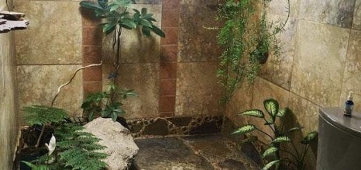 جدی میرین اینجا دستشویی؟ بابا اینو بدین من توش زندگی میکنم