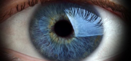 سلول‌های بنیادی