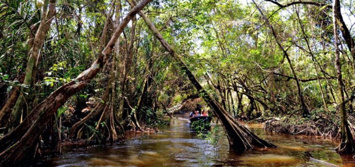 گرمایش زمین