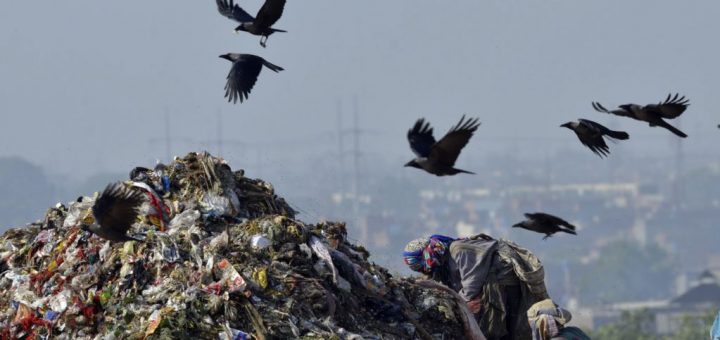 پلاستیک سازگار با محیط زیست