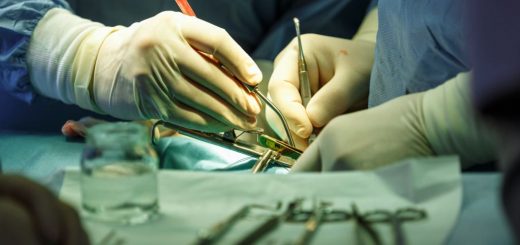 پیوند آلت تناسلی