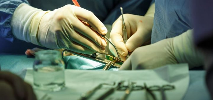 پیوند آلت تناسلی