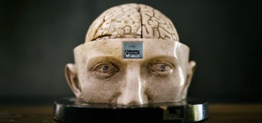 مغز زنانه مغز مردانه