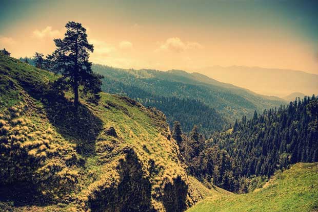 جاهای دیدنی گرجستان,پارک ملی