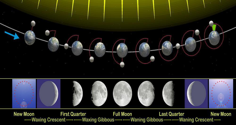 فازهای مختلف ماه