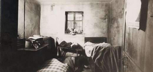 مزرعه ی وحشت