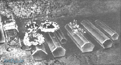 مزرعه ی وحشت