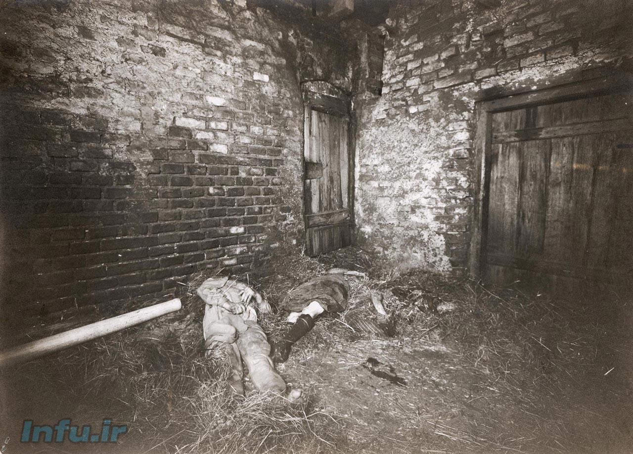 مزرعه ی وحشت