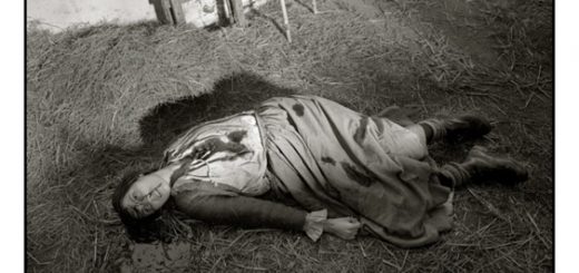 مزرعه ی وحشت