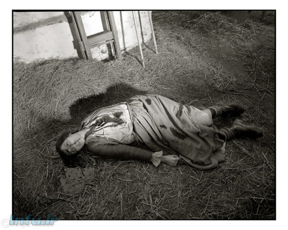 مزرعه ی وحشت