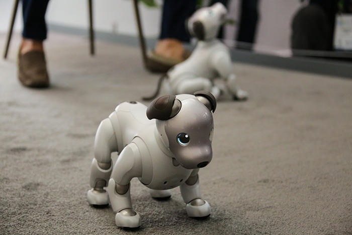 روبات آیبو سونی SOny