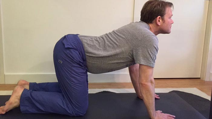 حرکات یوگا برای درمان دیسک کمر,حرکت Cat and Cow