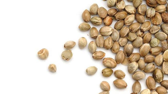 فواید شاهدانه