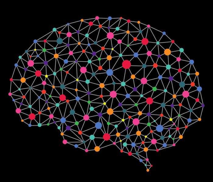 شبکه های عصبی مغزی