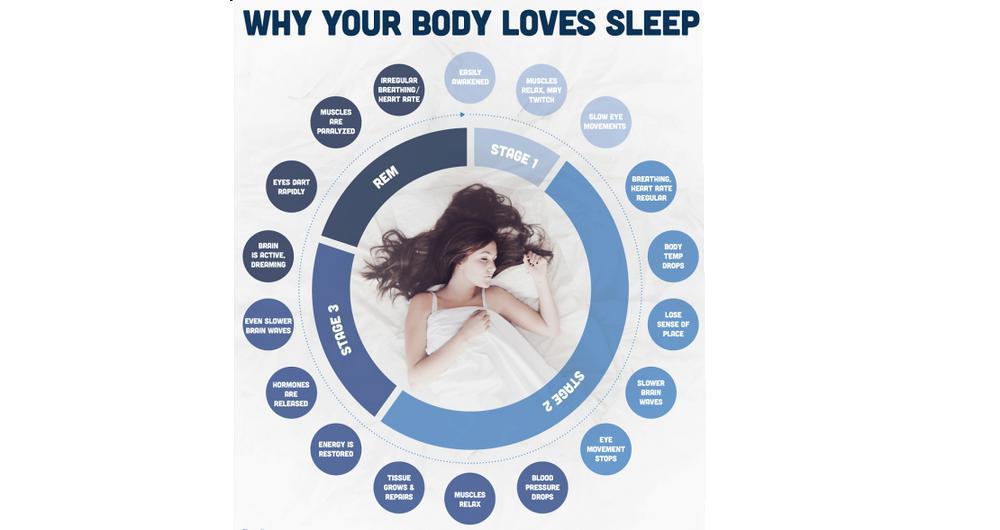 اینفوگرافیک مراحل خواب