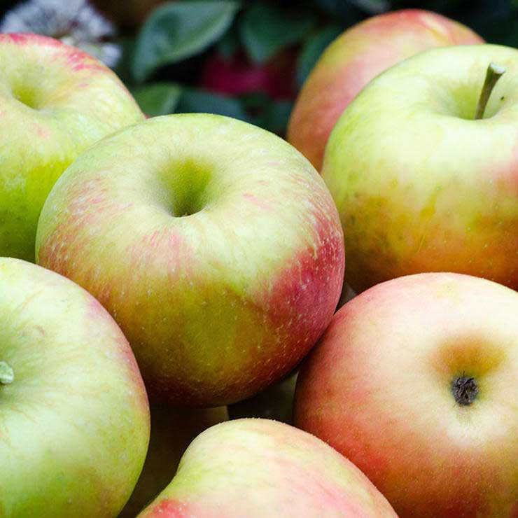 برای رفع گرسنگی چه بخوریم,سیر شدن,سیب