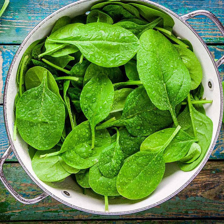 برای رفع گرسنگی چه بخوریم,سیر شدن,اسفناج