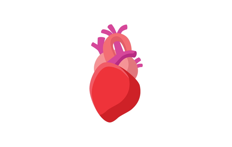 shutterstock_232334788-heart-races-fundamentaldesigns
