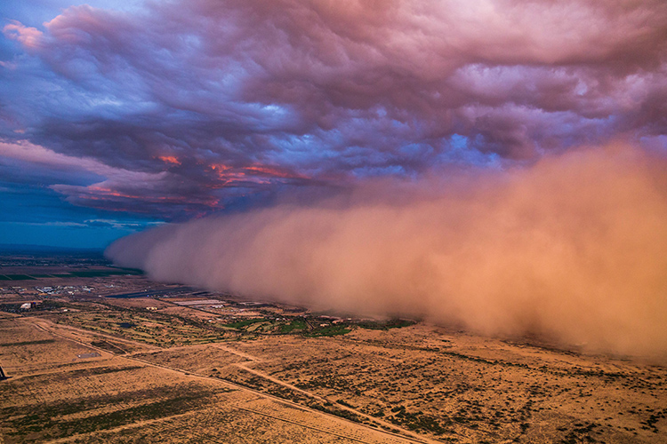 طوفان شن / Dust Storm