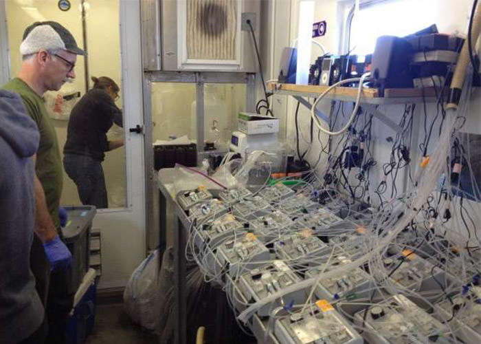 جف مک کویید آزمایش co2 اقیانوس