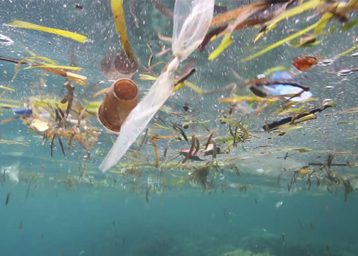 ضایعات پلاستیکی در آب دریا