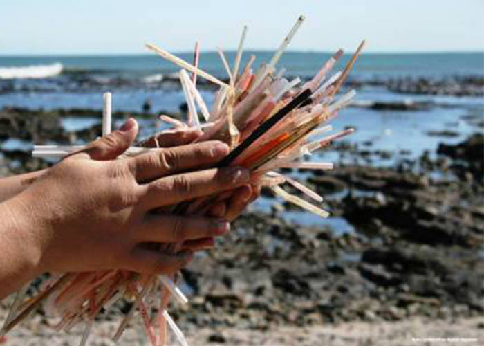 طرح ممنوعیت استفاده از نی های پلاستیکی