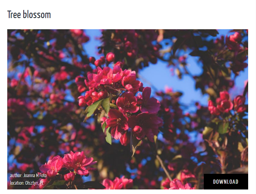 دانلود تصاویر