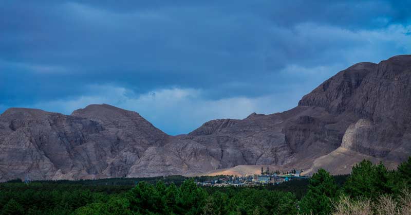 جنگل پردیسان قائم کرمان
